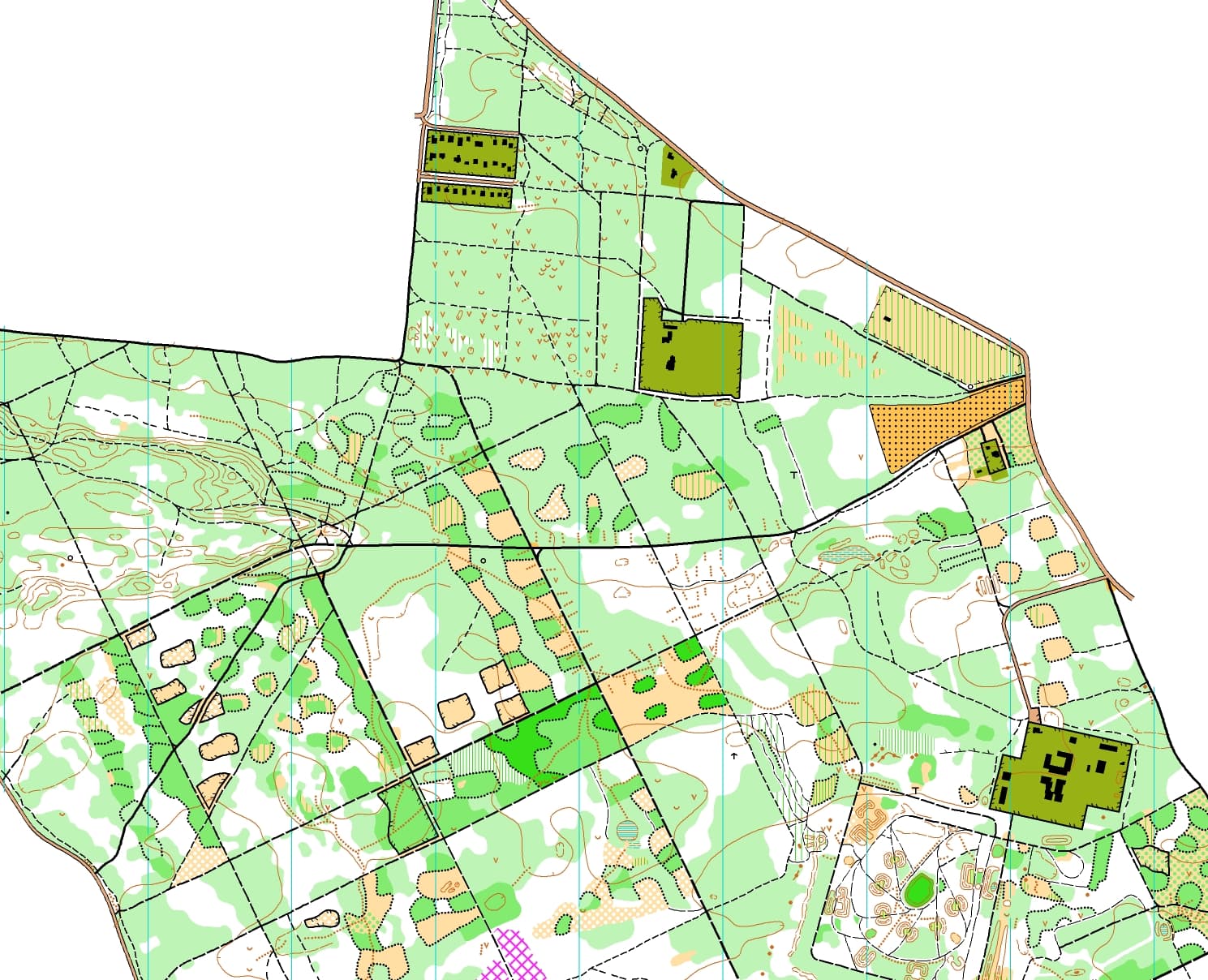 Forest orienteering map of Las Młochowski