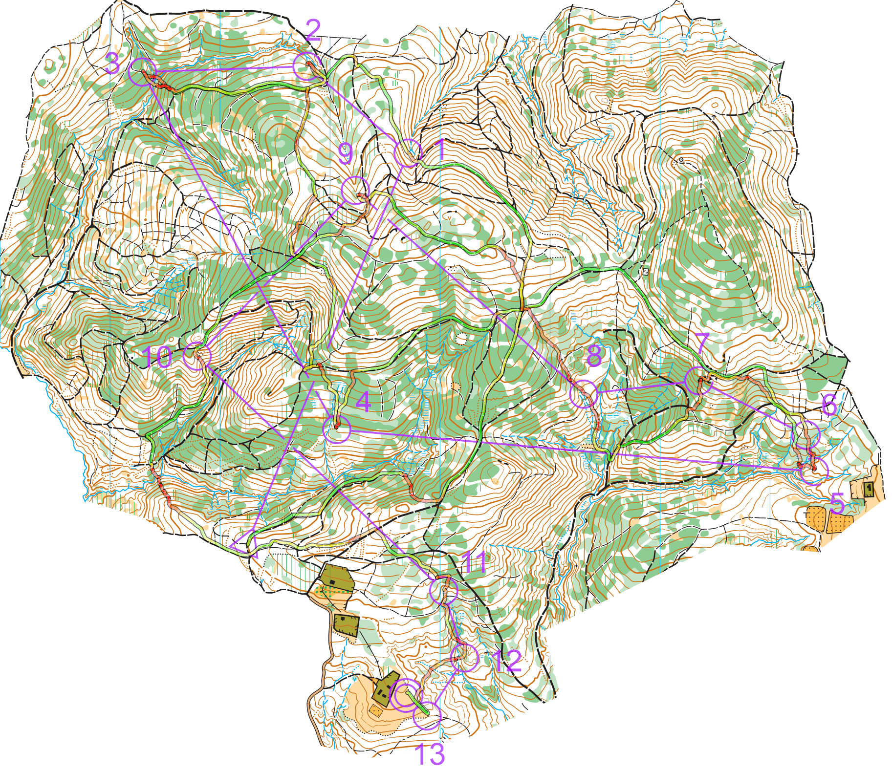 Orienteering map with my GPS track from the 2024 Polish Championships